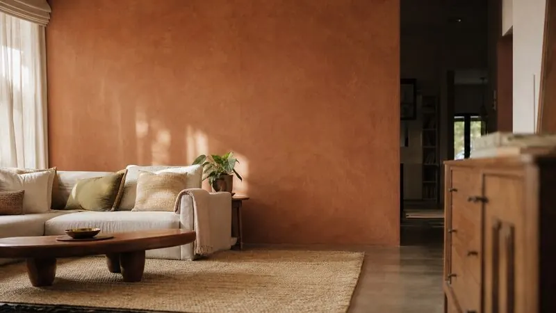 Clay-painted accent wall in interior